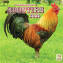 Chickens Calendars, Roosters Calendars